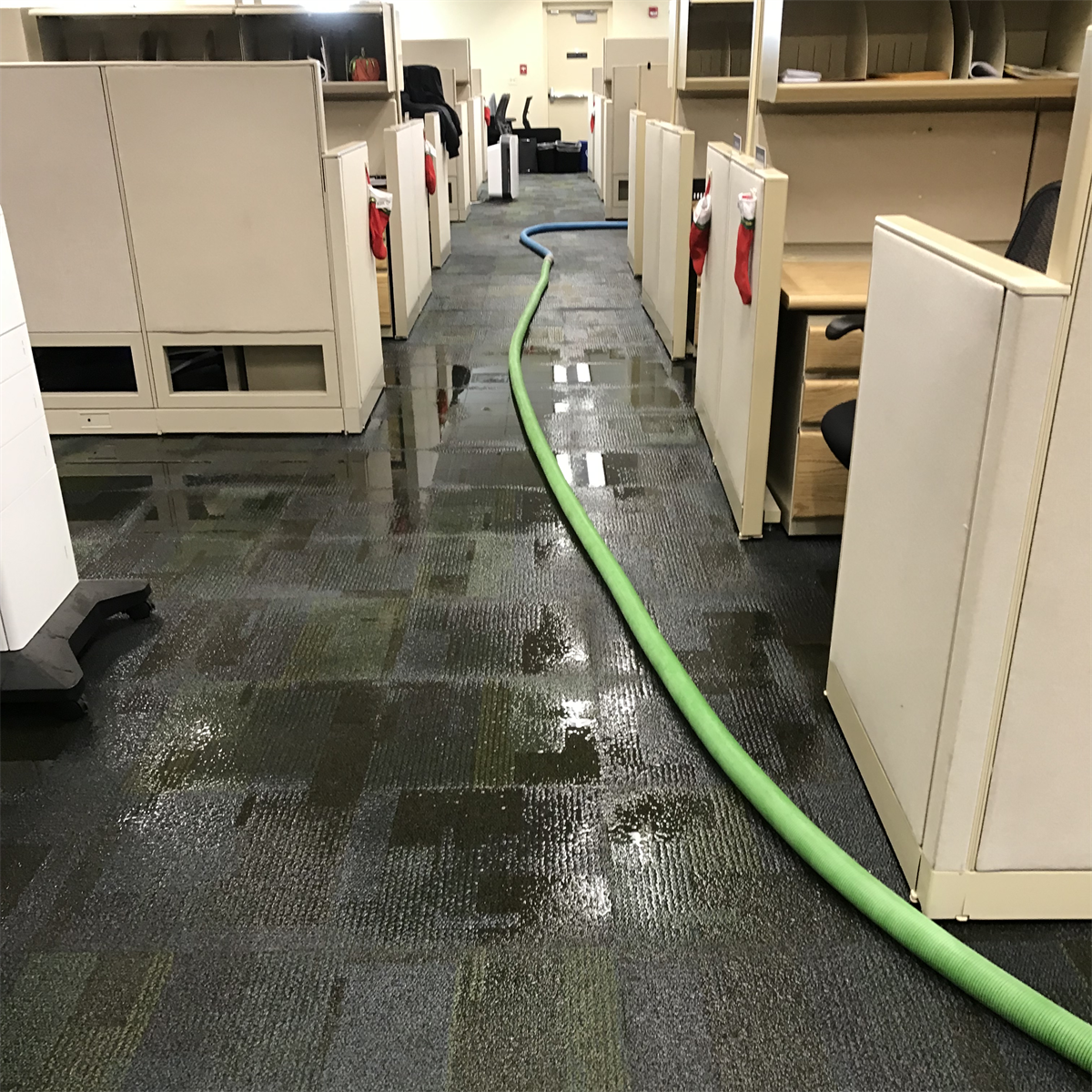 Preventing Water Damage and Frozen Pipes