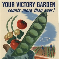 O’Sheas’ Victory Garden – A Patriotic Duty